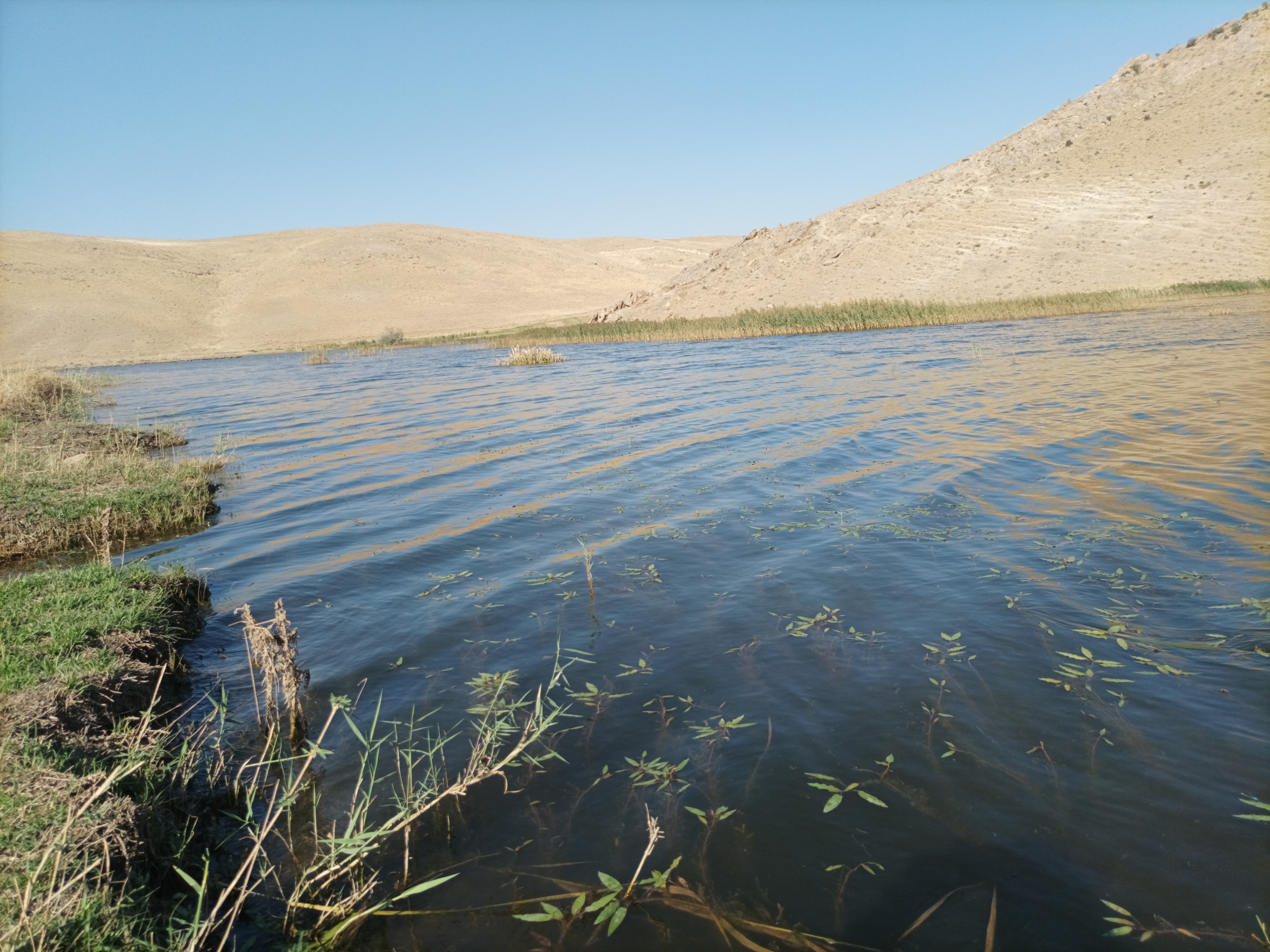 طبیعت زیبای کردستان- اشنویە