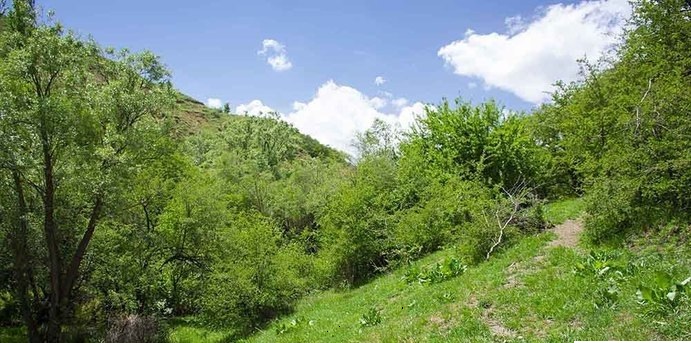 اشنویه‌ شهری به‌ قدمت بیش از ۳هزار سال